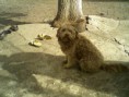 /album/kari%c5%9fik/a5972-123467534846-140883-n-jpg/